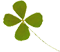 clover