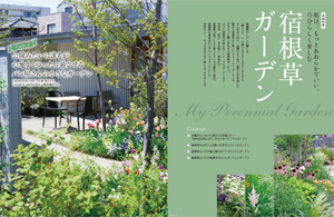 自分らしく楽しむ宿根草ガーデン