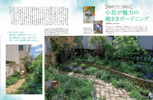 小花が魅力の種まきガーデニング